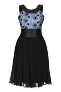 213 - black-iceblue