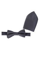 Fliege mit Einstecktuch