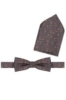 Fliege mit Einstecktuch