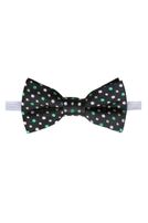 Baby/Kleinkind Fliege